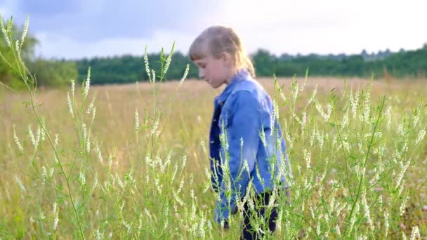 Πλάνα Του Κοριτσιού Που Ξοδεύει Χρόνο Πράσινο Πεδίο — Αρχείο Βίντεο