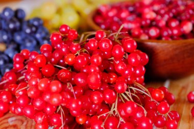 Cranberries, viburnum and grapes clipart