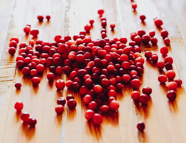 Cranberry berries — Stock Photo, Image