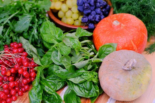 Verdi freschi per un'insalata, chicchi d'uva verdi e azzurri, zucche e vi — Foto Stock