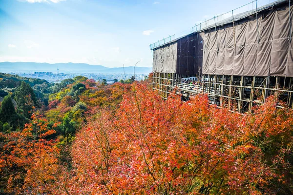 Kyoto Japan November 2018 Kiyomizu Dera Huvud Hall Täcks Upp — Stockfoto