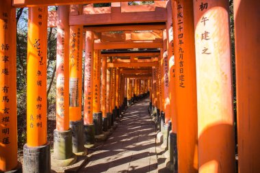 Kyoto, Japonya-21 Kasım 2018: Kyoto, Japonya 'daki Fushimi Inari tapınağında kırmızı Torii kapıları