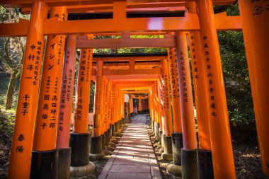 Kyoto, Japonya-21 Kasım 2018: Kyoto, Japonya 'daki Fushimi Inari tapınağında kırmızı Torii kapıları