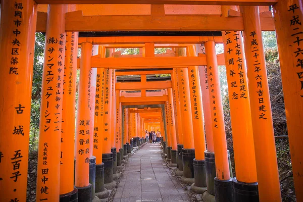 Kioto Japonia Listopada 2018 Red Torii Bramy Fushimi Inari Przybytek — Zdjęcie stockowe