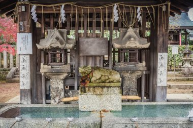 Kyoto, Japonya - 23 Kasım 2018: Chozuya adı verilen bir arınma çeşmesi, türbeyi ziyaret etmeden önce bedeninizi ve zihninizi temizleyerek kendinizi arındırdığınız yerdir..