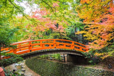 Her yıl Kasım'dan Aralık ortasına kadar, Kitano Tenmangu sonbahar yaprak sezonunun zirvesinde bahçesini halka açacak..