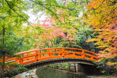 Her yıl Kasım'dan Aralık ortasına kadar, Kitano Tenmangu sonbahar yaprak sezonunun zirvesinde bahçesini halka açacak..