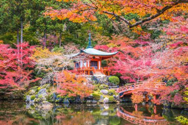 Kyoto, Japonya - 23 Kasım 2018: Bentendo Hall, akçaağaç ve ginkgoların kırmızı ve sarıya dönüşmesiyle sonbahardaki güzel renkli yapraklarıyla ünlüdür..