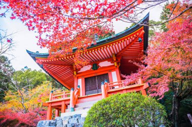 Kyoto, Japonya - 23 Kasım 2018: Bentendo Hall, akçaağaç ve ginkgoların kırmızı ve sarıya dönüşmesiyle sonbahardaki güzel renkli yapraklarıyla ünlüdür..