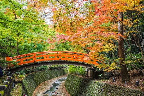 Każdego Roku Listopadzie Połowy Grudnia Kitano Tenmangu Otworzy Swój Ogród — Zdjęcie stockowe