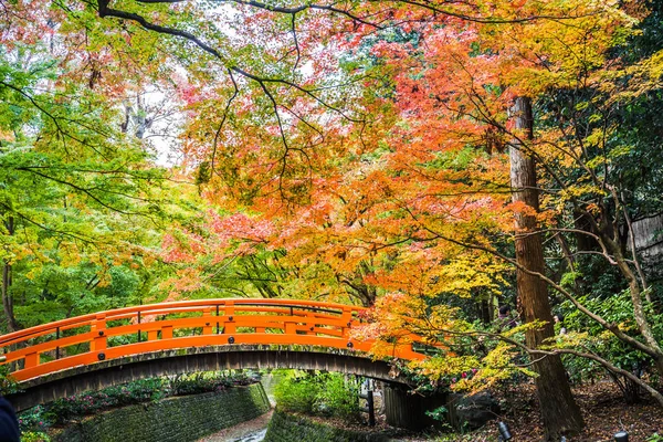 Chaque Année Novembre Décembre Kitano Tenmangu Ouvrira Son Jardin Public — Photo