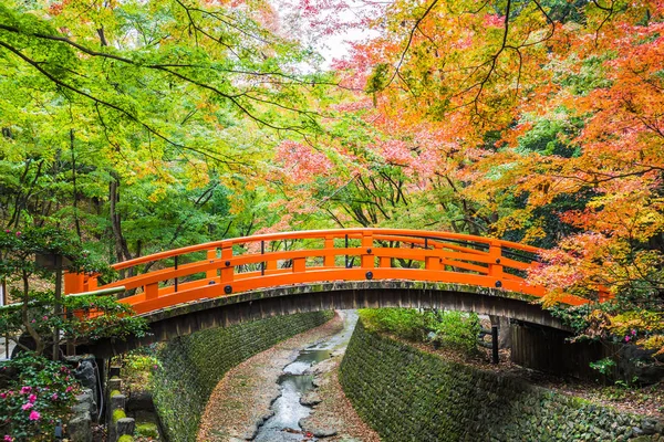 Każdego Roku Listopadzie Połowy Grudnia Kitano Tenmangu Otworzy Swój Ogród — Zdjęcie stockowe