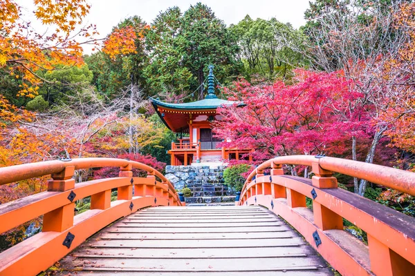 Kyoto Japon Novembre 2018 Bentendo Hall Est Célèbre Pour Ses — Photo