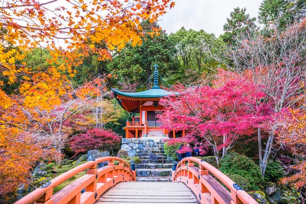 Kyoto Japon Novembre 2018 Bentendo Hall Est Célèbre Pour Ses — Photo