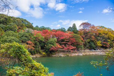 Kyoto, Japonya - 23 Kasım 2018: Arashiyama ve Katsura nehri, Japonya'nın sonbaharında turistler için ünlü bir yerdir. Birçok turist nehir yakınındaki güzel sonbahar renkleri görmek için geliyor. 