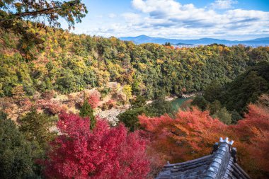 Arashiyama sonbahar sezonunda dağda akçaağaç orman renkli, Kyoto, Japonya. Hozu Nehri üzerinde, Senkoji tapınağında gözlem bakış açısından.