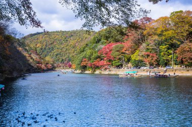 Kyoto, Japonya - 23 Kasım 2018: Arashiyama ve Katsura nehri, Japonya'nın sonbaharında turistler için ünlü bir yerdir. Birçok turist nehir yakınındaki güzel sonbahar renkleri görmek için geliyor. 