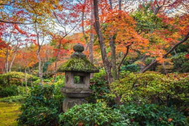 Okochi Sanso Garden renkli sonbahar akçaağaç ağaçları, Arashiyama, Japonya.