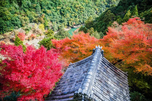 Coloré Forêt Érable Sur Montagne Saison Automne Arashiyama Kyoto Japon — Photo