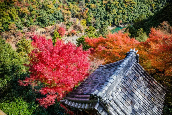 Kolorowy Klon Lasu Górze Sezonie Jesiennym Arashiyama Kioto Japonia Punktu — Zdjęcie stockowe