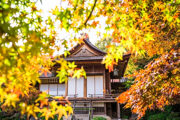 Kyoto Japan November 2018 Vacker Utsikt Lönn Träden När Solen — Stockfoto