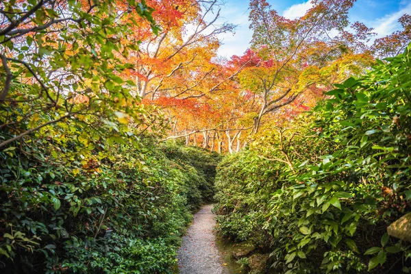 Okochi Sanso Garden Arashiyama Kyoto Japonya — Stok fotoğraf