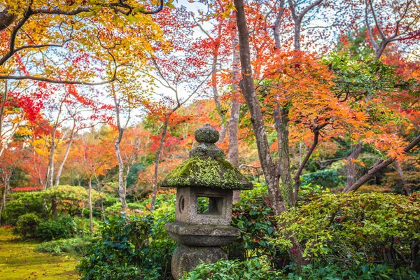Okochi Sanso Garden renkli sonbahar akçaağaç ağaçları, Arashiyama, Japonya.