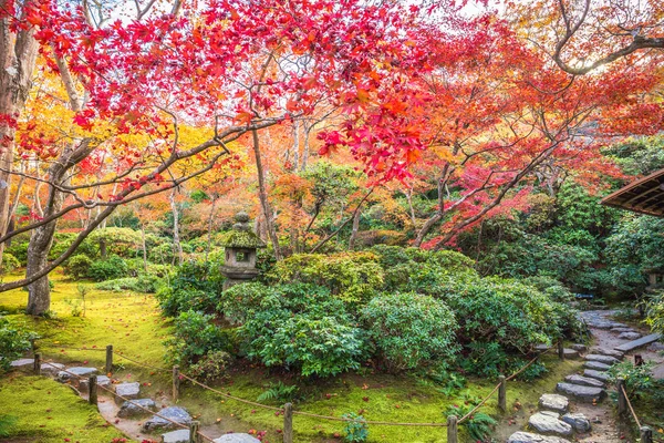 Красочные Осенние Кленовые Деревья Саду Окочи Сансо Арашияма Япония — стоковое фото