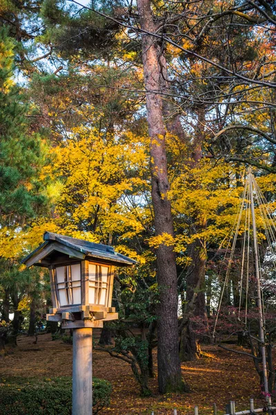 Jesienne Liście Kenrokuen Garden Kanazawa Japonia — Zdjęcie stockowe