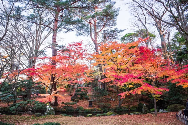 Kanazawa Kenrokuen Garden Sonbahar Yaprakları Japonya — Stok fotoğraf