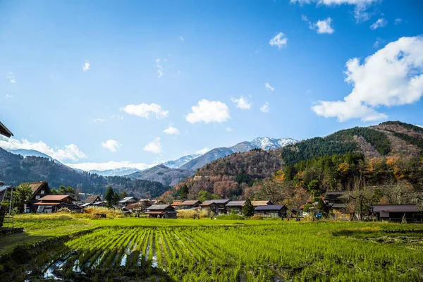 Ogimachi Nejpopulárnější Vesnicí Která Největší Domy Gassho Zukuri Shirawakago — Stock fotografie