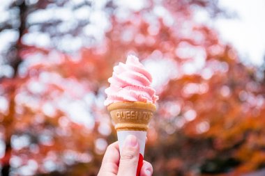 Sakura Mochi soft arakurayama Sengen Park, Japonya'da zemin olarak renkli bir sonbahar yaprakları ile dondurma hizmet.