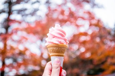 Sakura Mochi soft serve ice cream with a colorful autumn leaves as the backdrop at Arakurayama Sengen Park, Japan. clipart