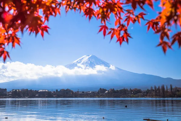 Colorful autumn season and Mount Fuji with maple leaves at lake Kawaguchiko in Japan