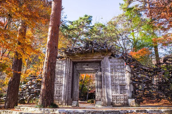 Fujikawaguchiko Japón Noviembre 2018 Puerta Entrada Principal Del Museo Arte —  Fotos de Stock