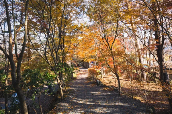 Kubota Itchiku Sanat Müzesi Fujikawaguchiko Japonya Göletler Şelaleler Renkli Sonbahar — Stok fotoğraf