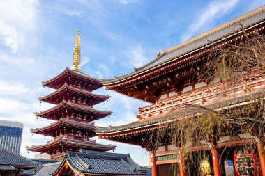 Tokyo, Japonya - 28 Kasım 2018: Sensoji tapınağındaki bu beş katlı pagoda Japonya'nın en ünlülerinden biridir. Savaşta tahrip, binalar nispeten yeni rekonstrüksiyonlar vardır. 
