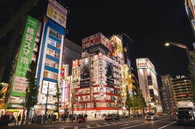 Tokyo, Japonya - 28 Kasım 2018: Akihabara birçok kişi tarafından bir otaku kültür merkezi ve video oyunları, anime, manga ve bilgisayar ürünleri için bir alışveriş bölgesi olarak kabul edilir.