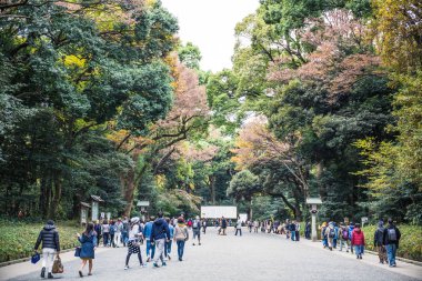 Tokyo, Japonya-2 Aralık 2018: Meiji Jingu Tapınağı, Çin 'in her yerinden insanlar tarafından bağışlanan 120.000 ağaçlardan oluşan büyük bir ormanla kaplıdır ve tapınağın kurulması.