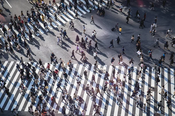 Tokyo, Japonya-Aralık 1, 2018: Shibuya Crossing hava görünümü dünyanın en işlek kesişiminden biri olarak.