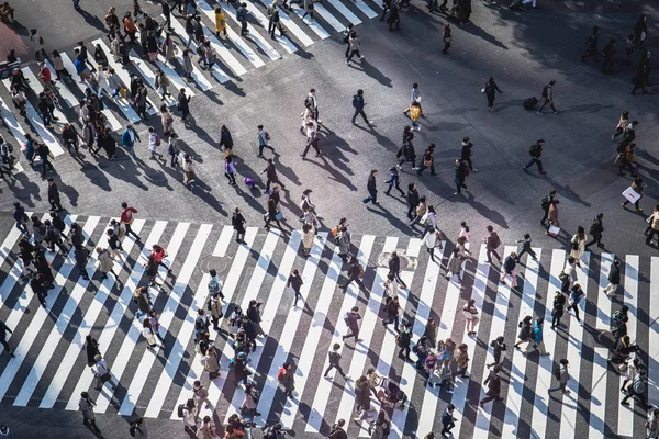 Tokyo, Japonya-Aralık 1, 2018: Shibuya Crossing hava görünümü dünyanın en işlek kesişiminden biri olarak.