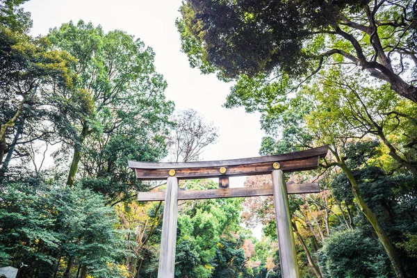 Enorme Puerta Madera Torii Que Conduce Santuario Meiji Jingu —  Fotos de Stock