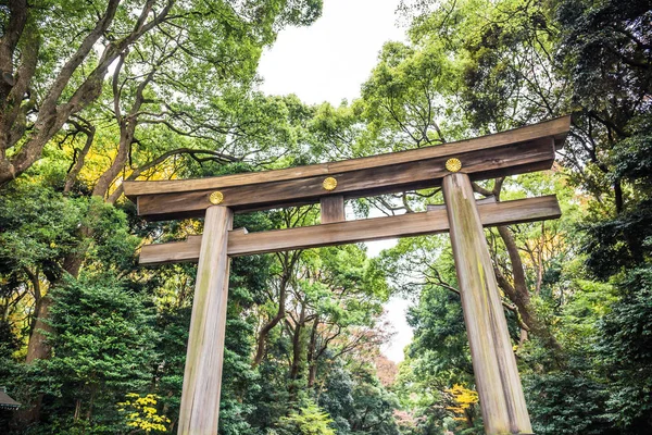 Enorme Puerta Madera Torii Que Conduce Santuario Meiji Jingu —  Fotos de Stock