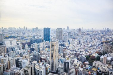 Tokyo, Japonya-3 Aralık 2018: Tokyo Kulesi 'nden Tokyo Cityscape havadan görünümü.