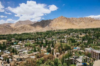 Leh Sarayı 'nın çatısından nefes kesici bir manzara. Leh Kasabası' nın diğer yakası. Bölgenin her tarafında yemyeşil kavak ağaçları var..