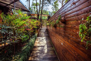 Yue Gölü Backpackers hostel yaşam alanı içinde güzel bir peyzaj bahçesi ile güzel ve benzersiz bir yazlık. 