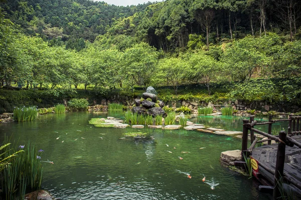 Hermoso Estanque Peces Koi Ubicado Dentro Del Parque Atracciones Formosan —  Fotos de Stock