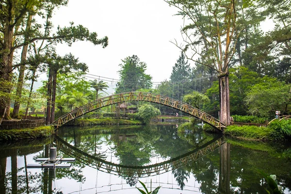 University Pond Lugar Turístico Área Educación Natural Xitou Que Parque —  Fotos de Stock