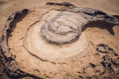 Yehliu Geopark kaya deseni, Tayvan