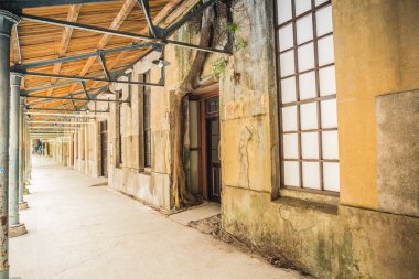 Huashan 1914 Creative Park, bir şaraphane olarak 1914 yılında inşa edilmiş ama 2005 yılında bir park olarak döndü ve sanat sergileri, butik ve kafeler ev sahipliği yapmaktadır.